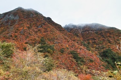 mt.cyausu at 9:54 Oct,20 2024