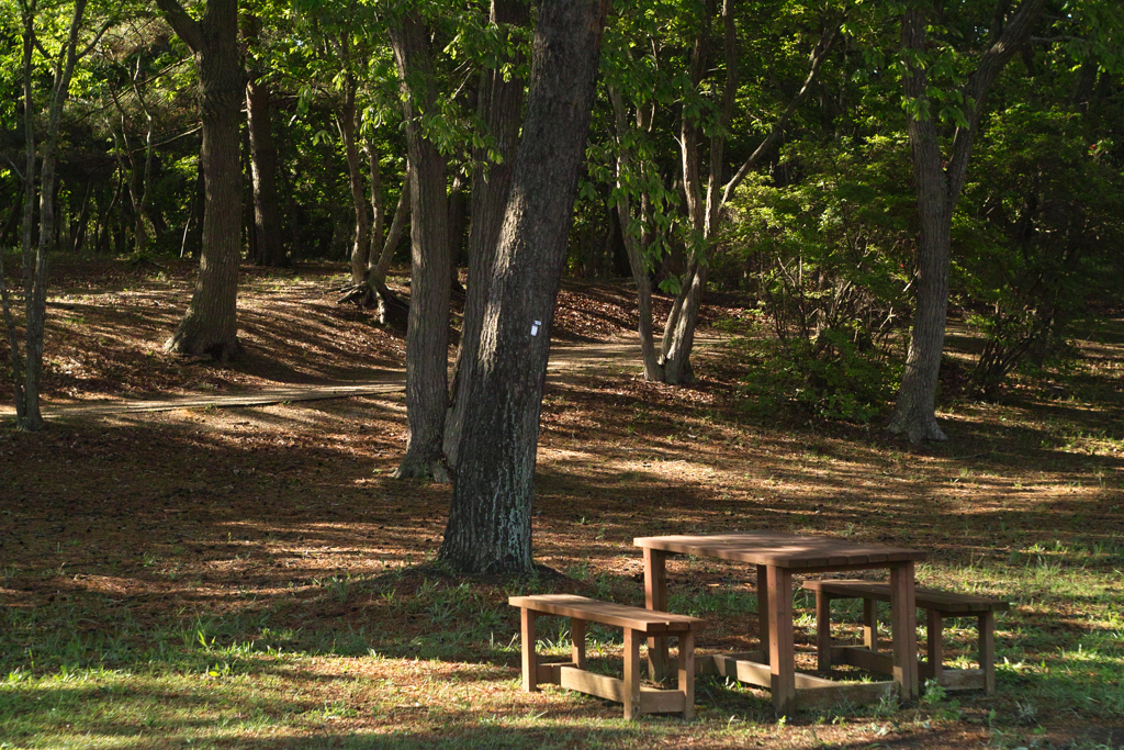 ひたちなか海浜公園