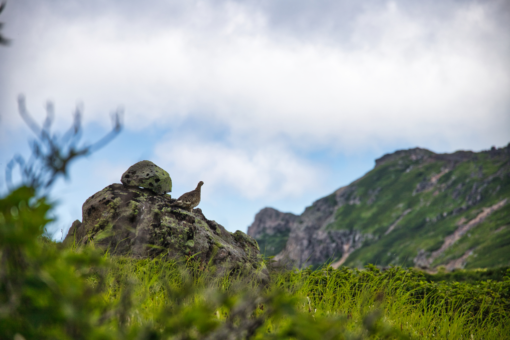 mt.ontakesan at 11:11 Jul,24 2025