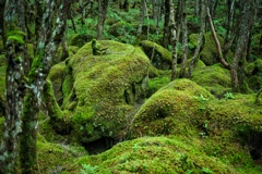 on the way to takamiishi hutte