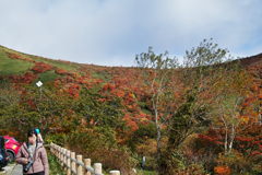 mt.cyausu at 9:13-3 Oct,20 2024