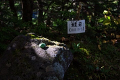 mt.ontake at 9:51 Oct.11 2024