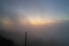 shibutoge at 5:01 12,Sep 2021