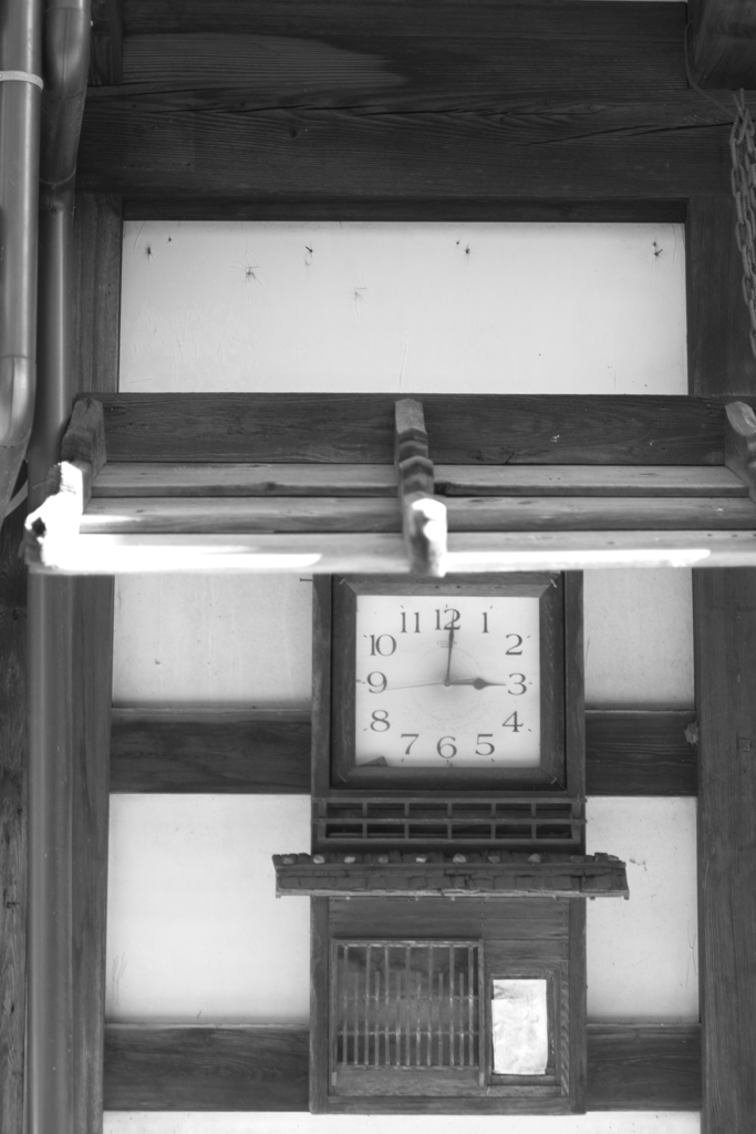 naraijyuku at 14:29 Oct,13 2024
