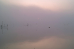 inba lake at 5:07 25,Apr 2022