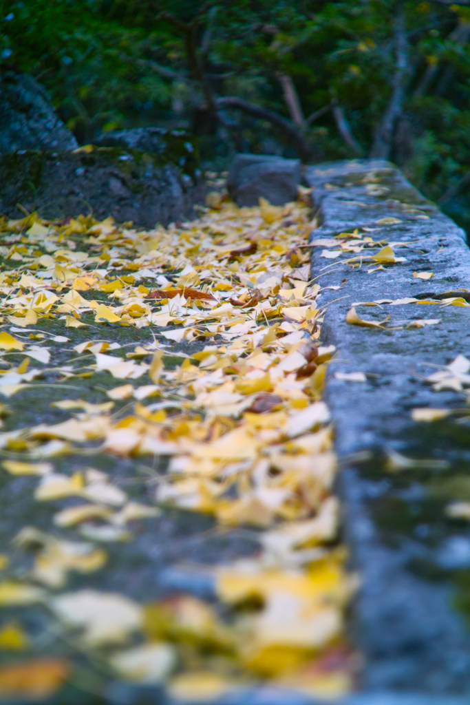 Mt.Tsukuba by aus jena