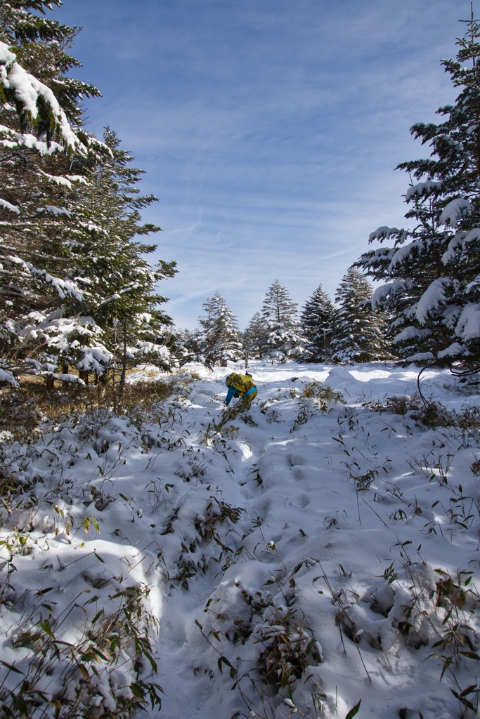 shirakoma lake at 11:32 Dec,20 2024