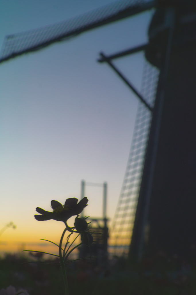 cosmos with wind mill at 17:33 1,Oct 202