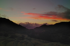 senmaida at 4:49 21,Aug 2021