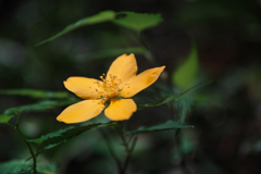 mt.tsukuba at 9:02 Apr,19 2025