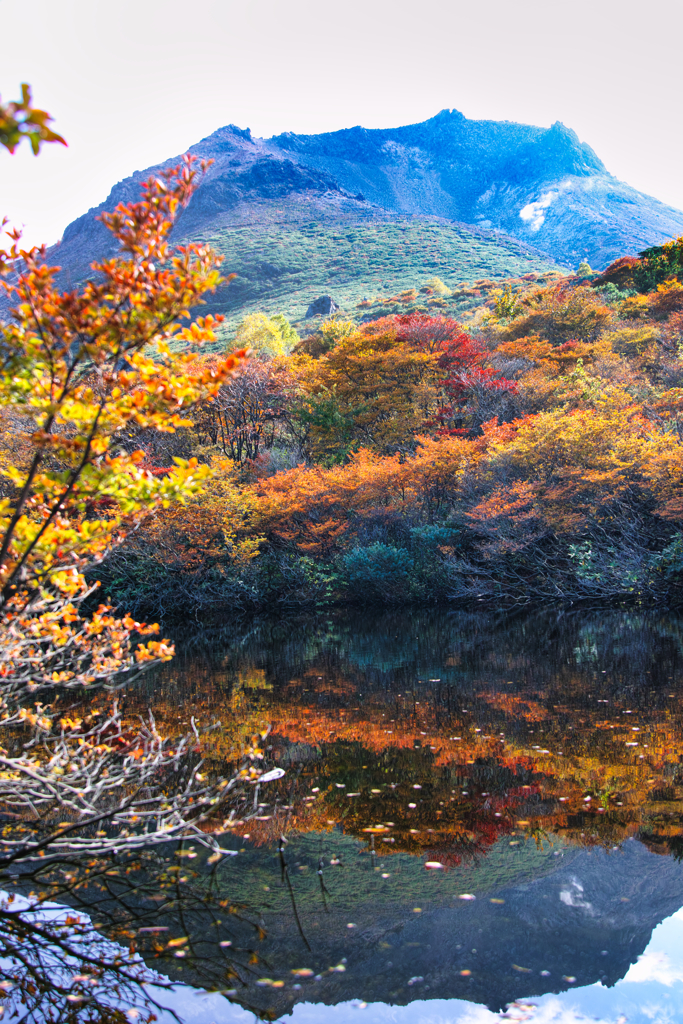 mt.cyausu on Oct.12 2025