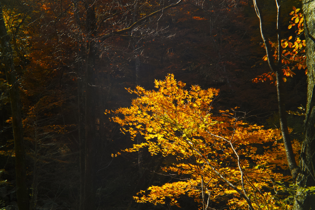 hapougahara in tochigi pref.