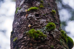 on the way to takamiishi hutte