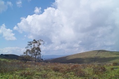 Mt.Cyoucyoumiyama