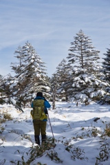 shirakoma lake at 11:32 Dec,20 2024
