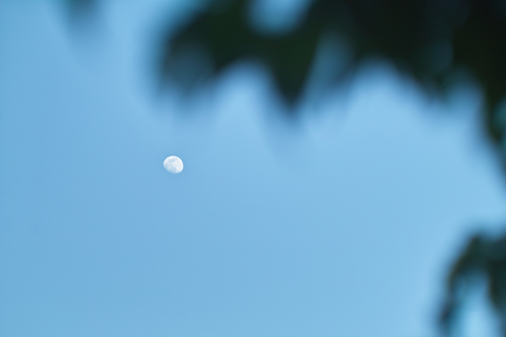 eary moon by jupiter 9