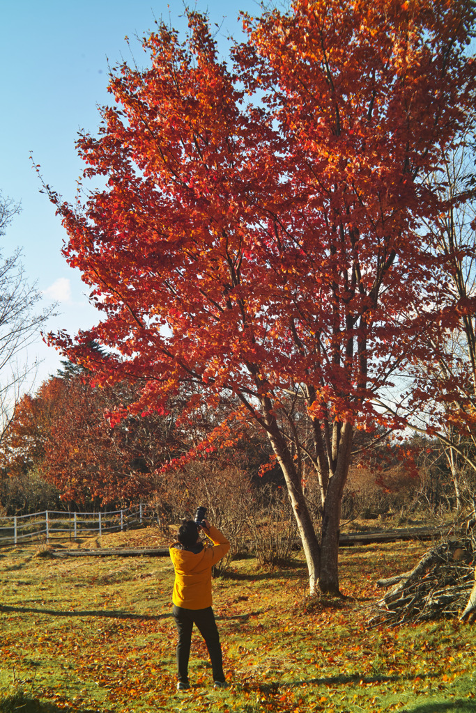 hapougahara in tochigi pref.