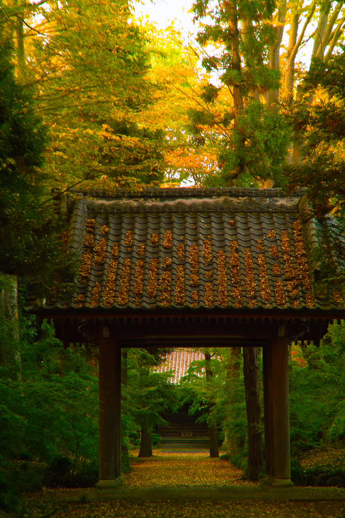 saisyou temple