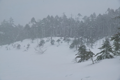 kitayokodake at 10:51 23,Feb 2023