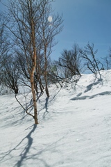mt.kurobisan at 11:20 Mar,14 2025