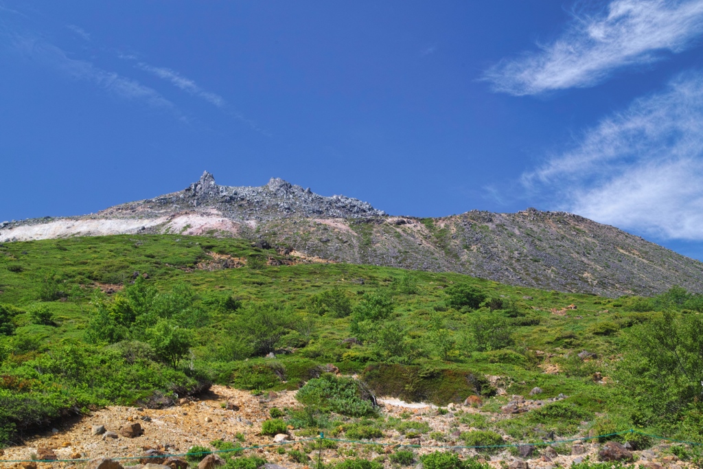 mt.cyausu at 9:13 Jun,15 2024