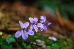 mt.tsukuba at 8:54 Apr,19 2025