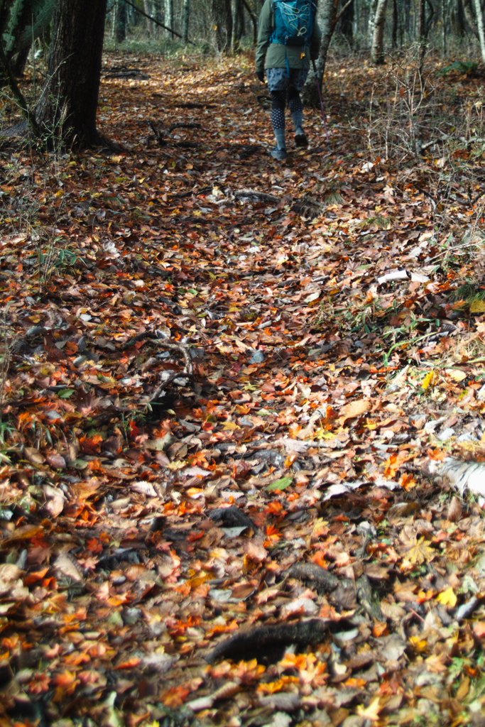 mt.yokoosan at 10:29 Nov,1 2025