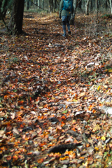 mt.yokoosan at 10:29 Nov,1 2025