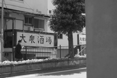 street at narita city