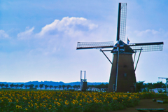 wind mill & sun flower