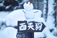 snowman on index