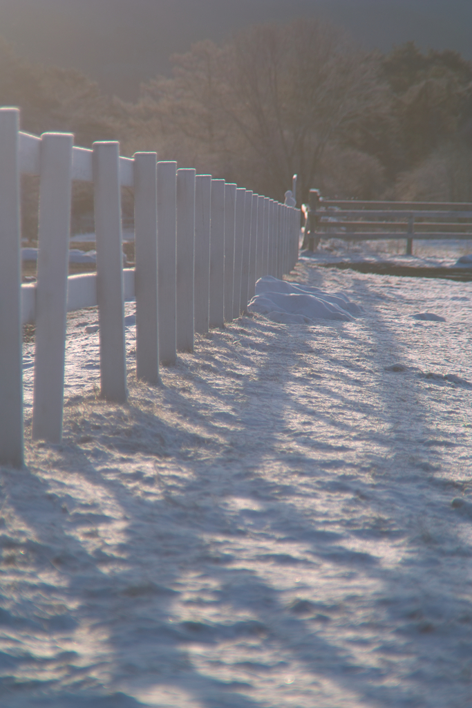 seisenryo at 6:47 25,Feb 2023