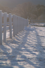 seisenryo at 6:47 25,Feb 2023