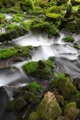 名前思い出せない場所