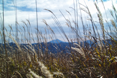 mt.yokoosan at 11:45 Nov,1 2025
