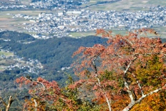 mt.tsukuba at 13:02 Nov,9 2024