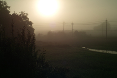 foggy eary morning