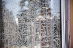 shirakoma lake at 12:56 Dec,24 2024