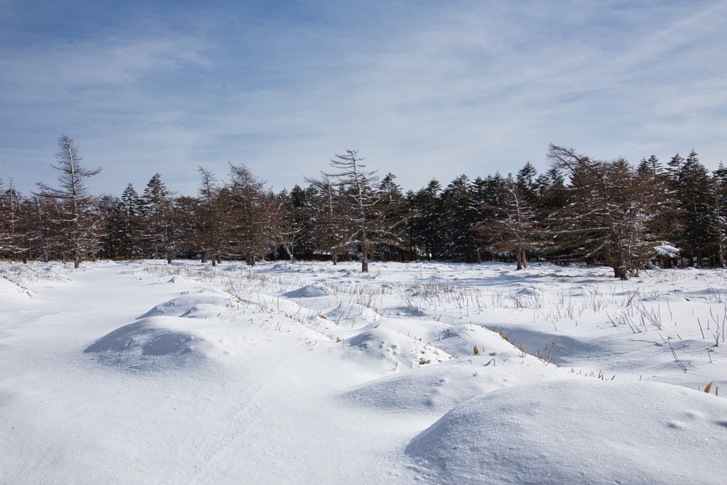 shirakoma lake at 11:41 Dec,20 2024