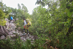 mt.sugorokudake mama at 7-23 Sep,13 2024