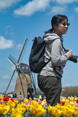 tulip festa at 11:17 Apr,14 2025 in saku