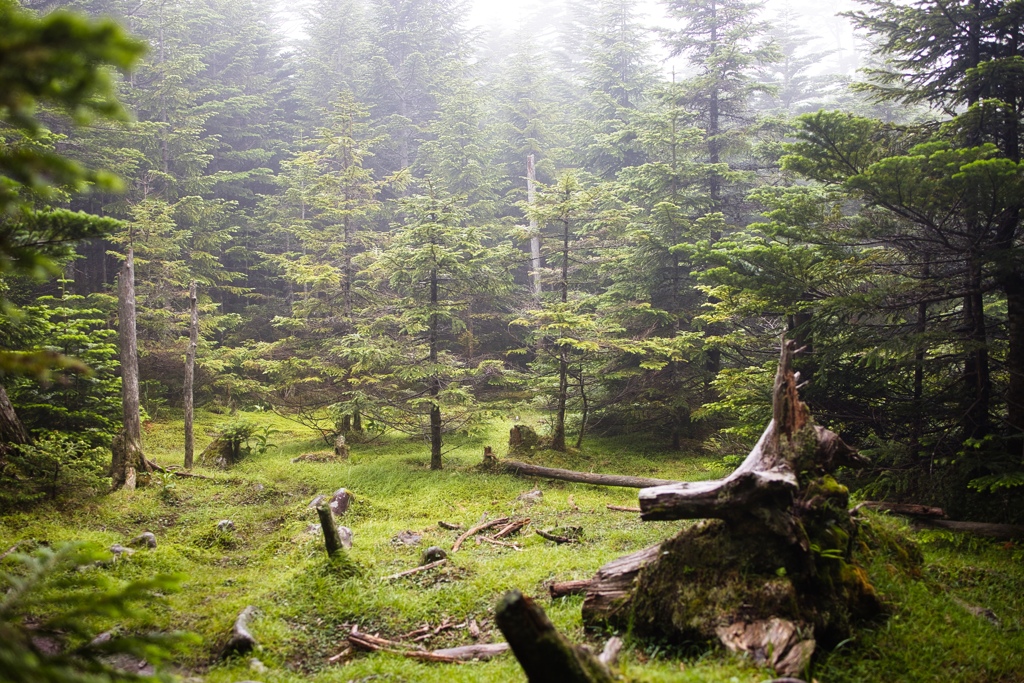 on the way to takamiishi hutte