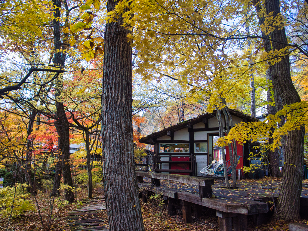 okkototei at 12:48 Nov,3 2025(GRD)