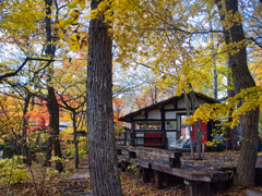 okkototei at 12:48 Nov,3 2025(GRD)