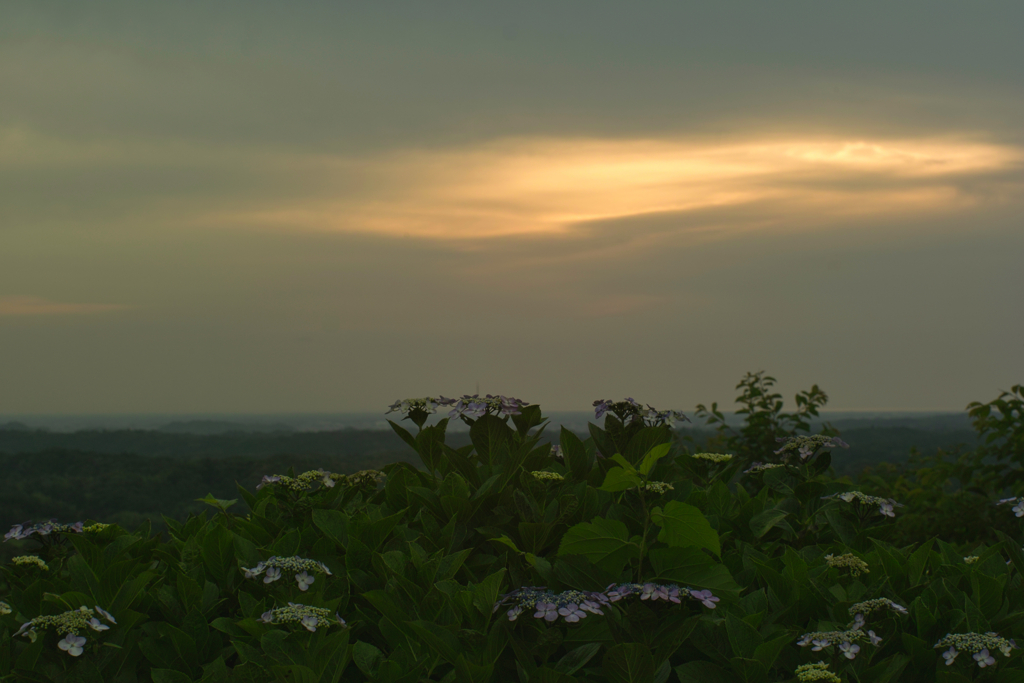 nomikane park at 4:59 17,Jun 2022