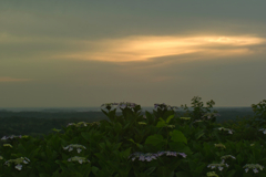 nomikane park at 4:59 17,Jun 2022