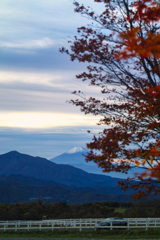 Seisenryou at 6:37 Nov,2 2025