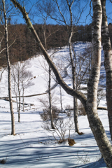 mt.nyukasayama at 12:53 Dec,19 2025