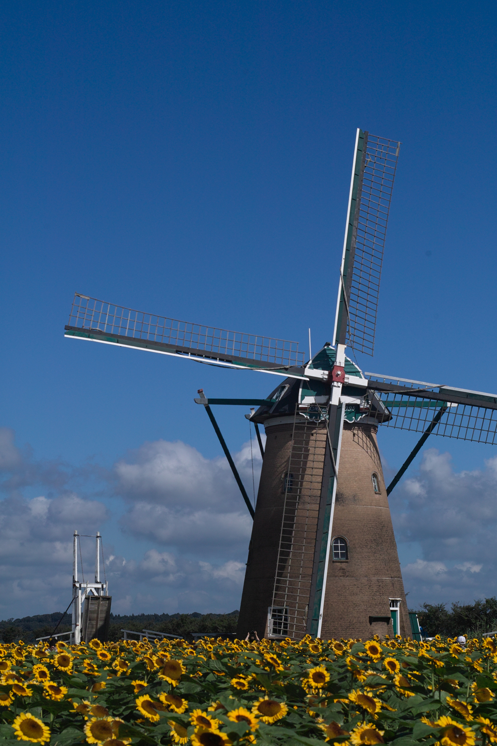 windmill