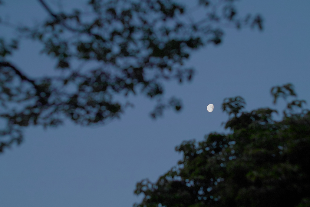 moon at eary morning on 1,May 2021